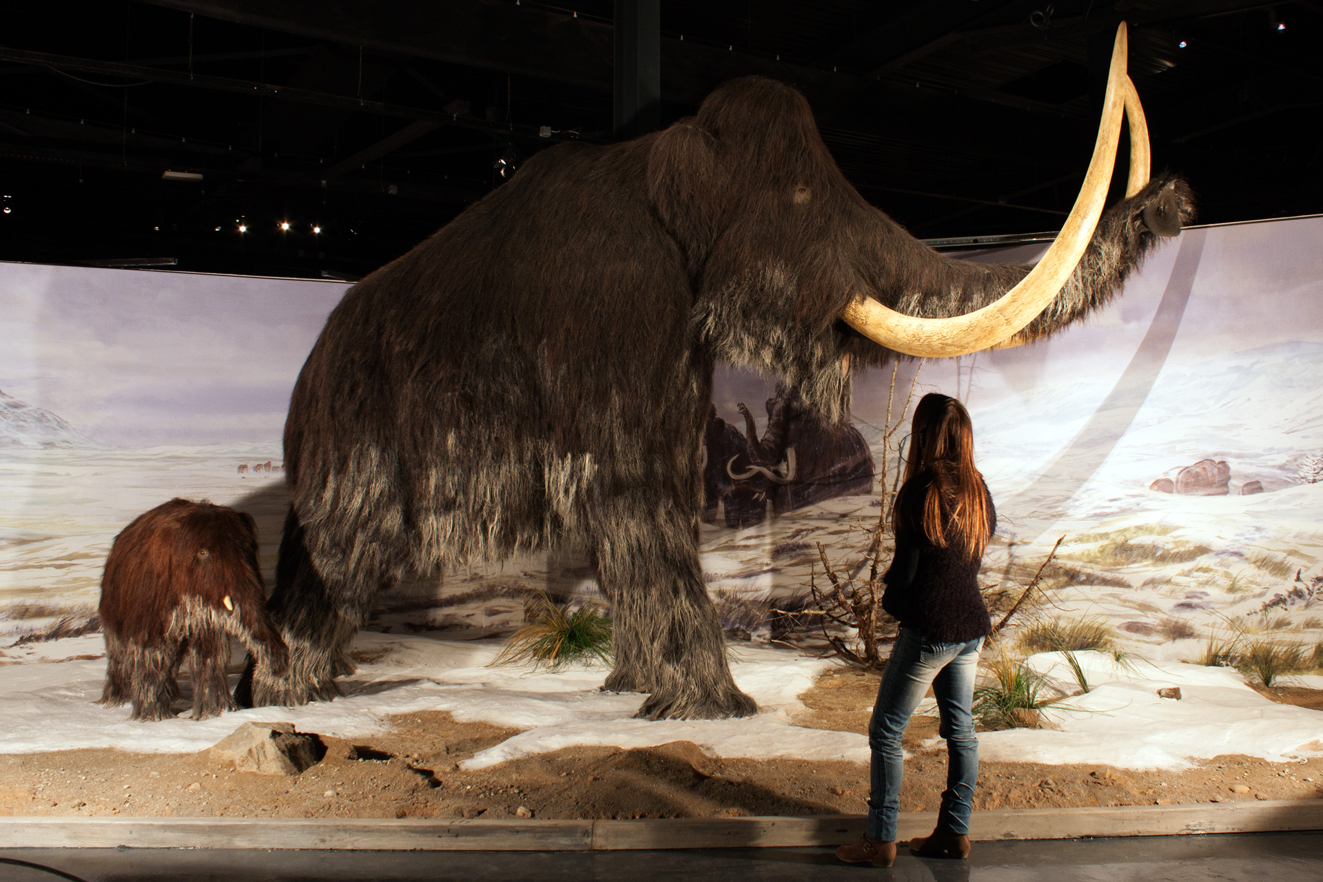 Parc de la Préhistoire