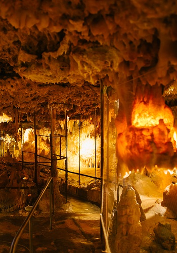 Visite des Abris de Laugerie-Basse