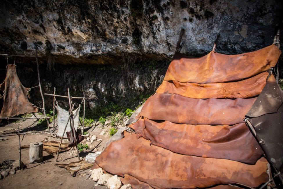 Visite des Abris de Laugerie-Basse