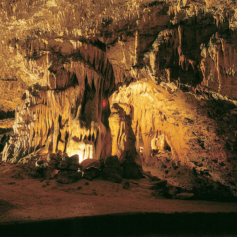 Grotte préhistorique des Merveilles