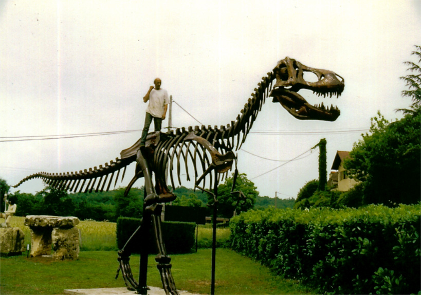 Tyrannosaurus skeleton