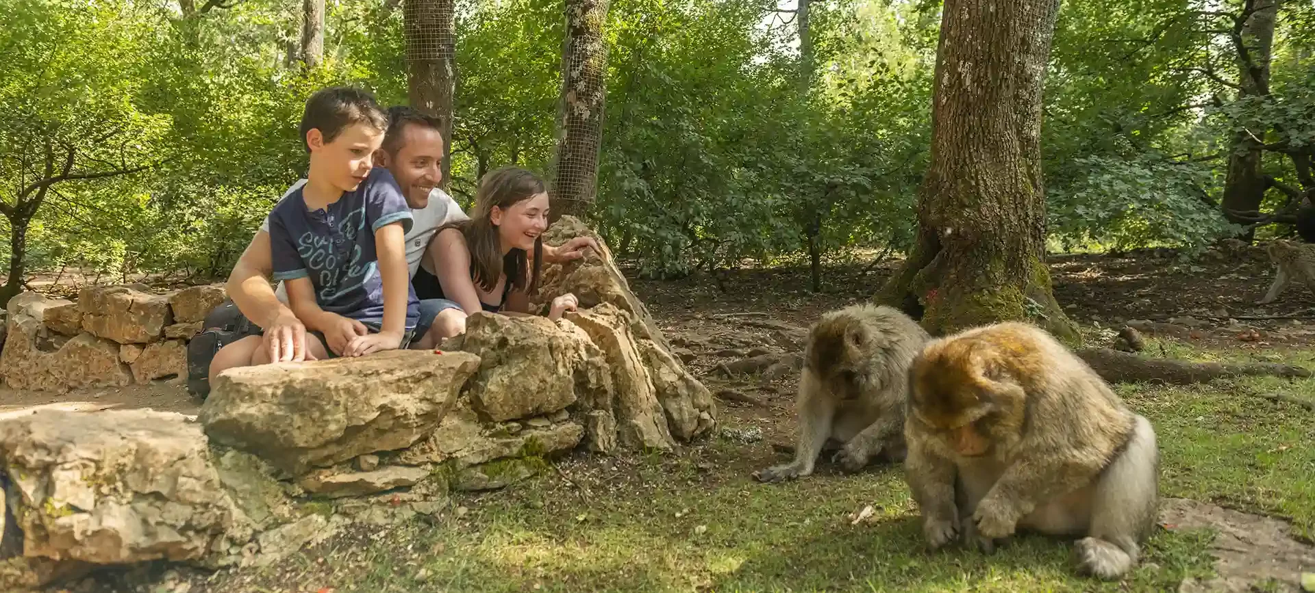 La Forêt des Singes