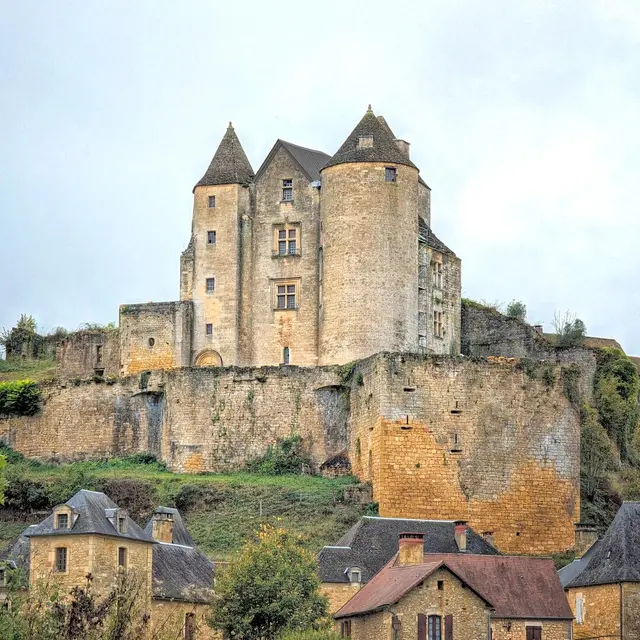 Château de Salignac