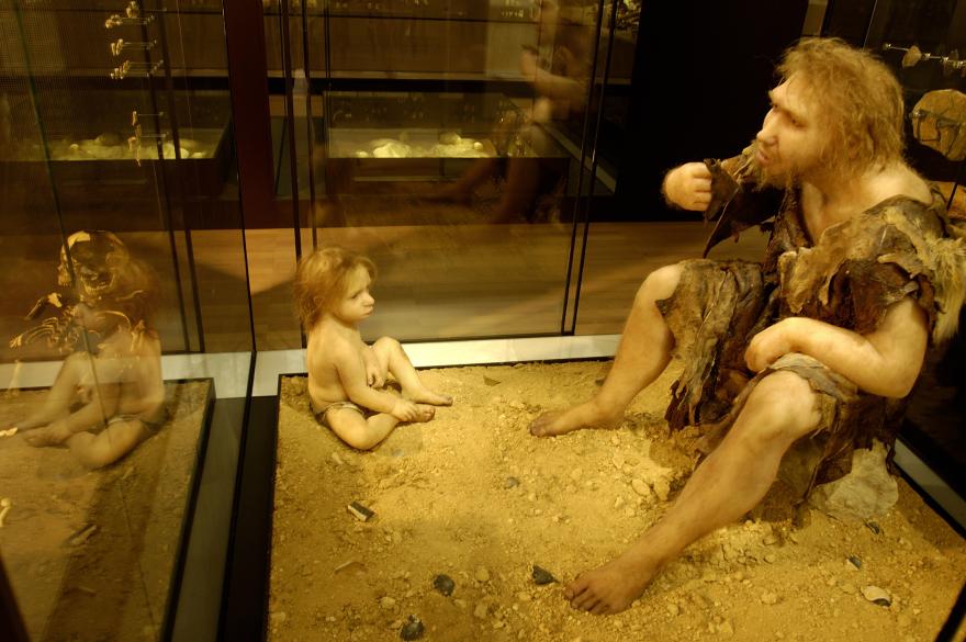 Musée national de Préhistoire