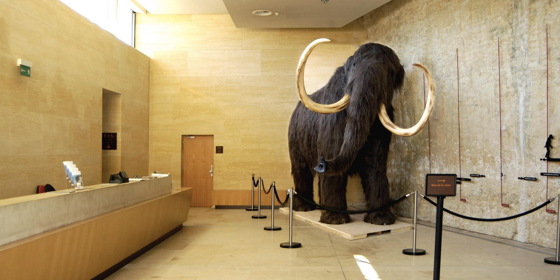 Musée national de Préhistoire