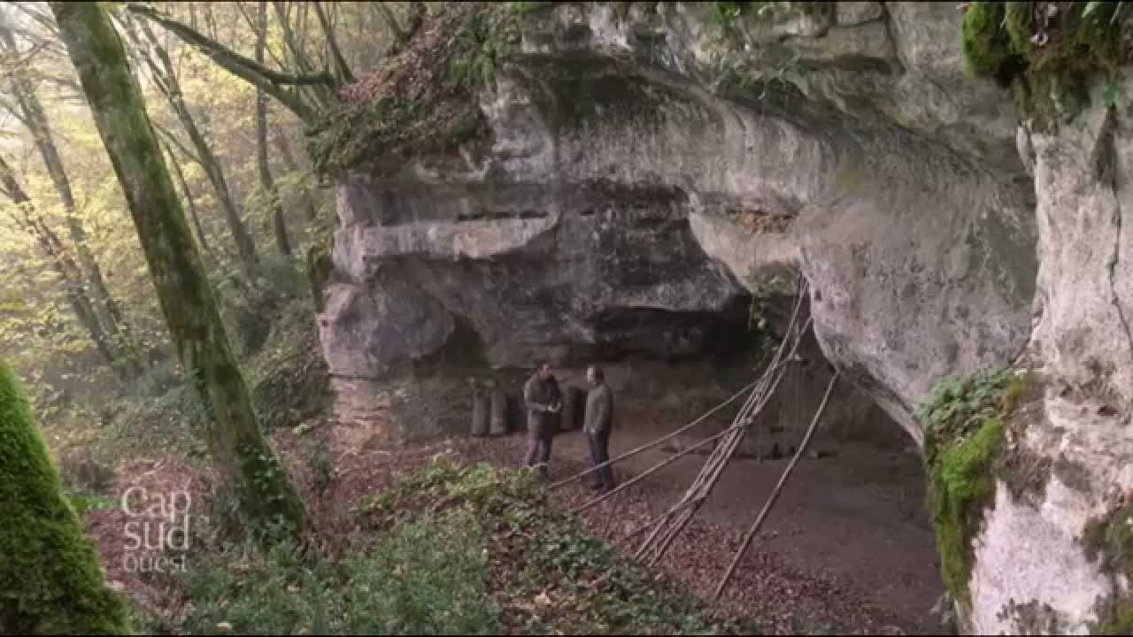 Site préhistorique de Castel-Merle