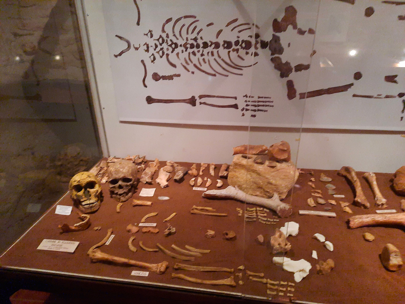 Site Néandertal de Regourdou