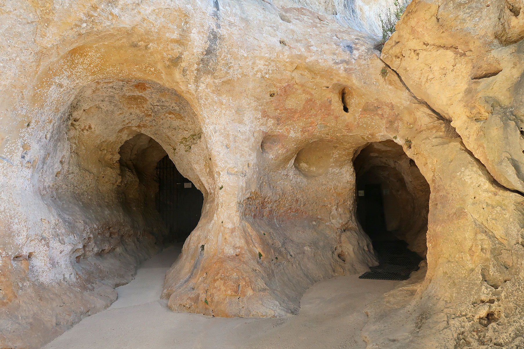 Grotte de Font-de-Gaume