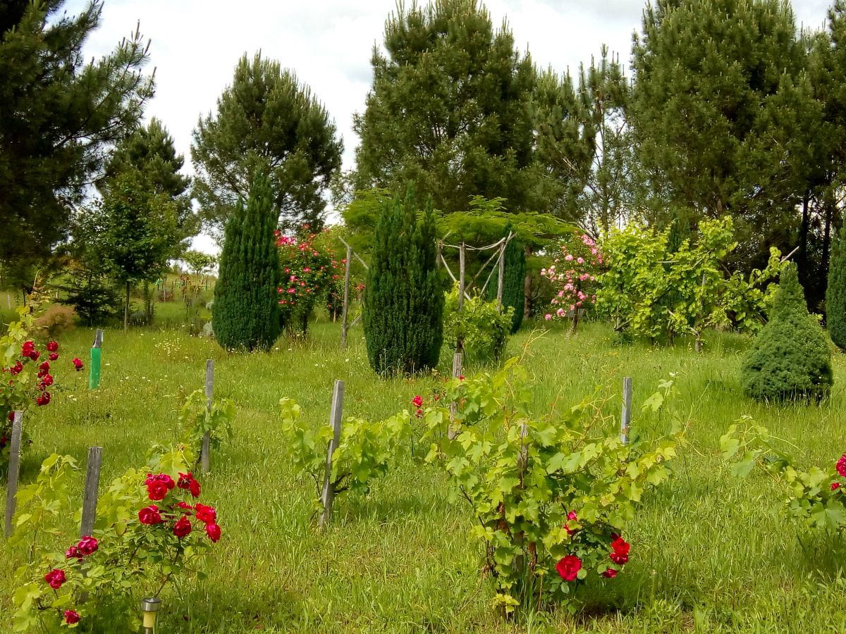 Les Jardins ethnobotaniques de Haute Terre
