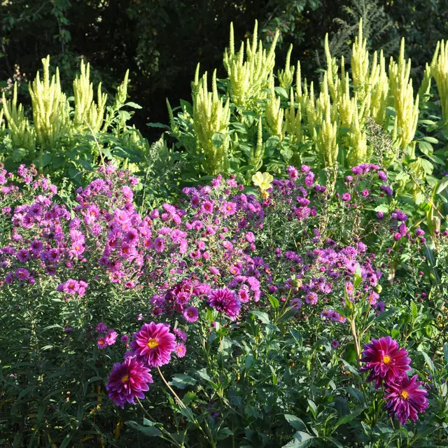 Les Jardins de l'Albarède