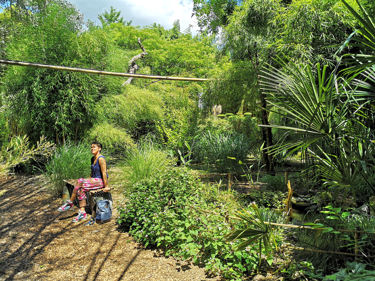 Jardin les Bambous de Planbuisson