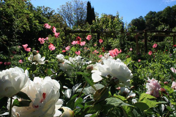 Les Jardins de Cadiot