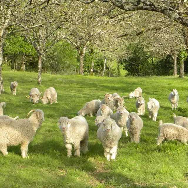 La Ferme des 4 Vents