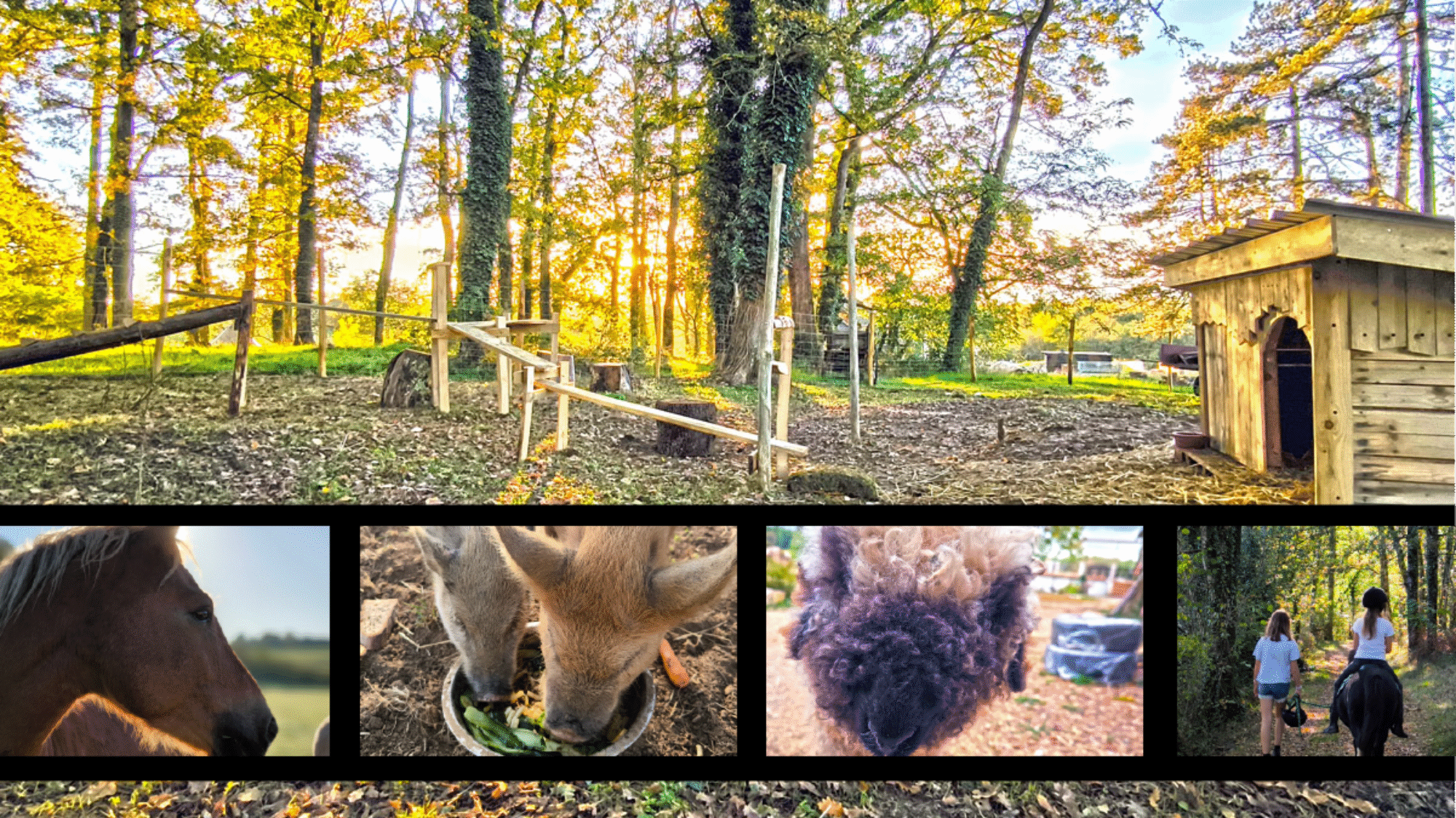 Parc animalier des portes du Périgord