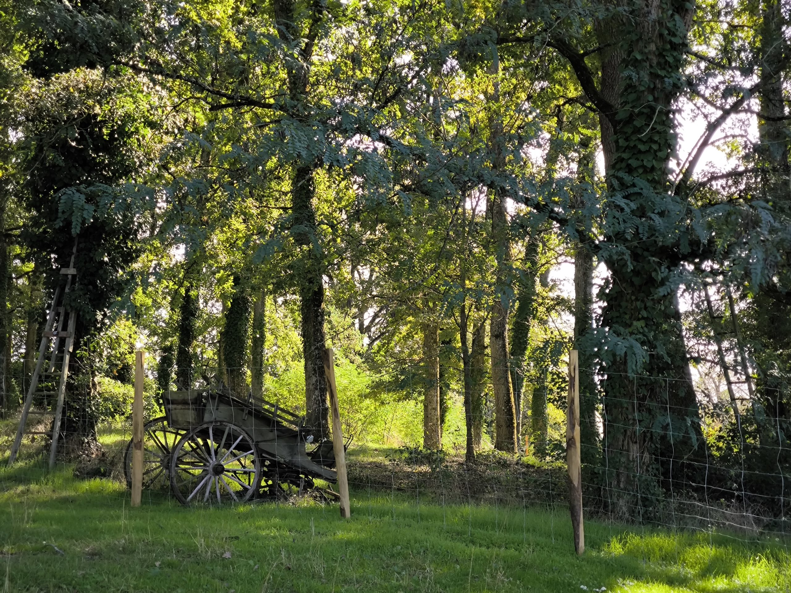 Parc animalier des portes du Périgord