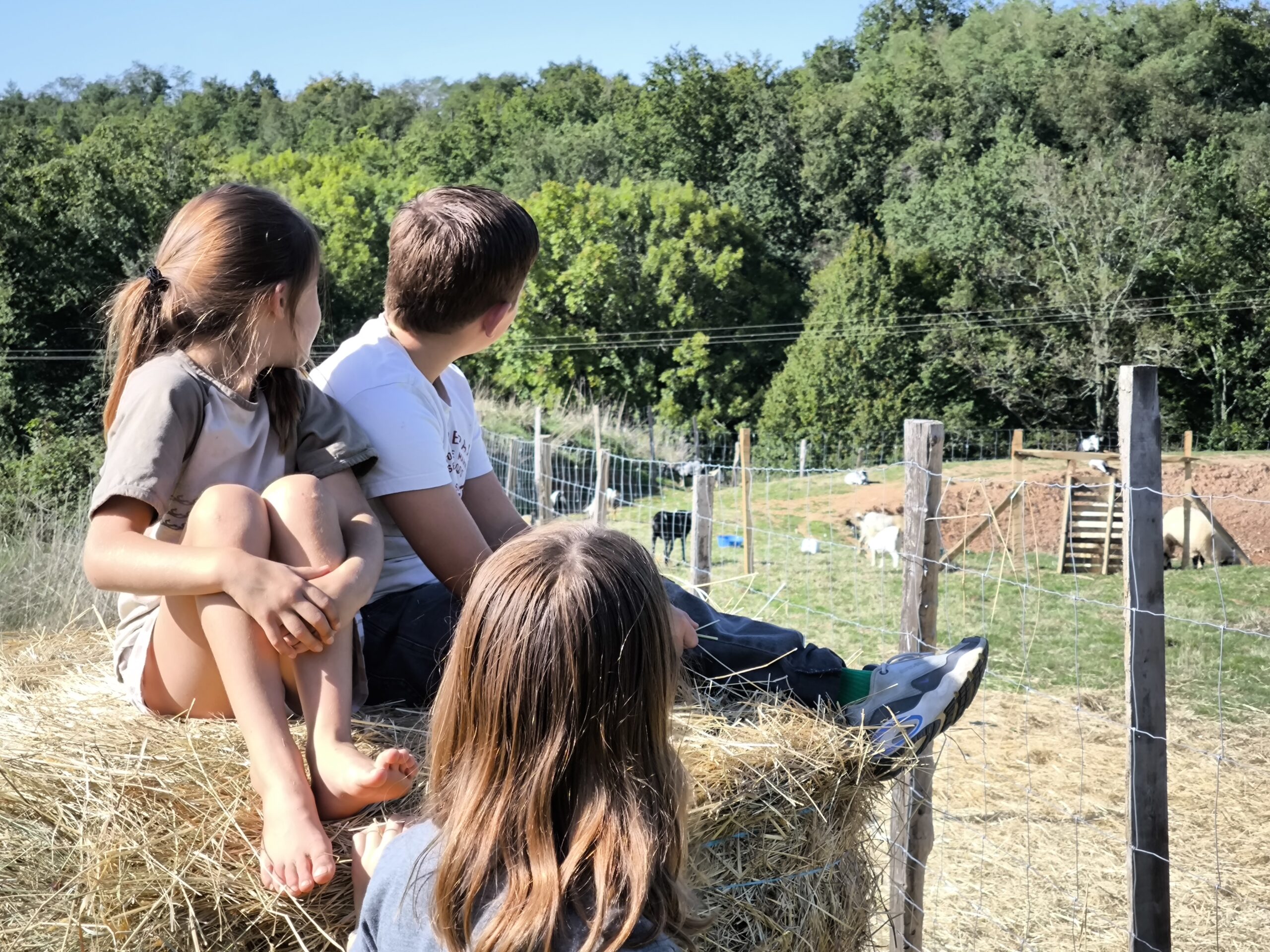 Parc animalier des portes du Périgord