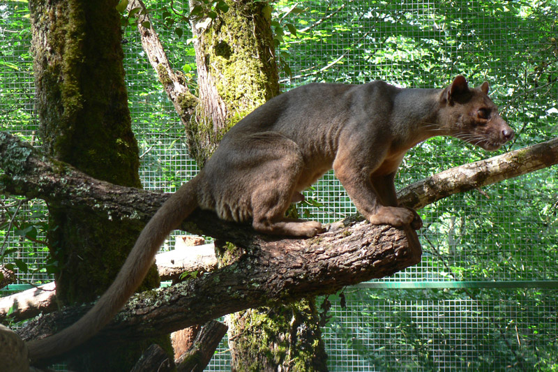 Réserve Zoologique de Calviac