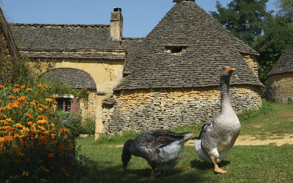 Les Cabanes du Breuil