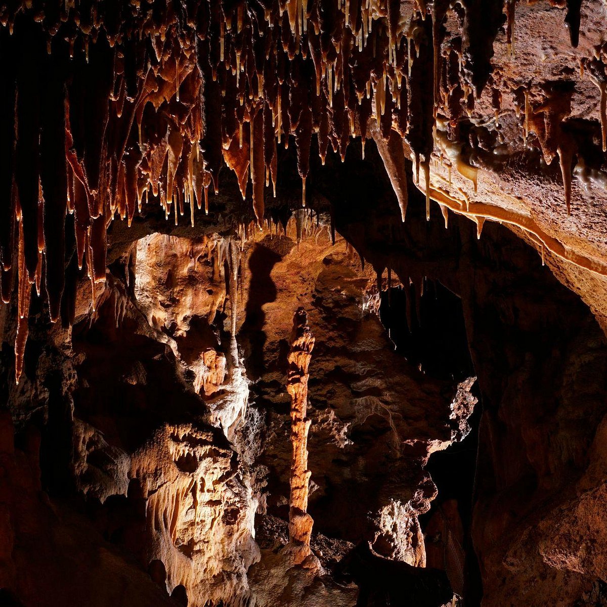 Grotte du Bosc