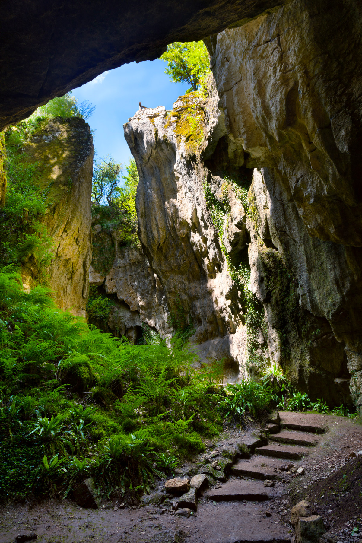 Phosphatières du Cloup d'Aural