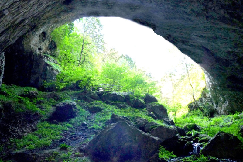 Espace Préhistoire de Labastide