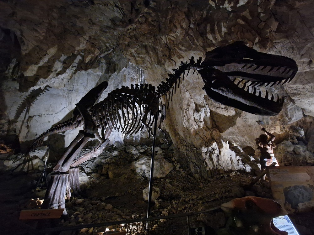 Dinopedia Expérience - La grotte