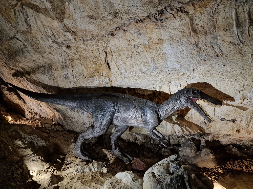 Dinopedia Expérience - La grotte