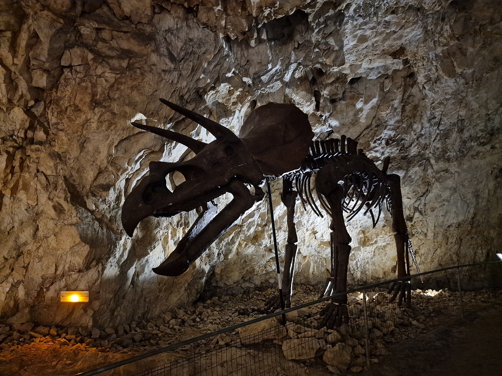 Dinopedia Expérience - La grotte