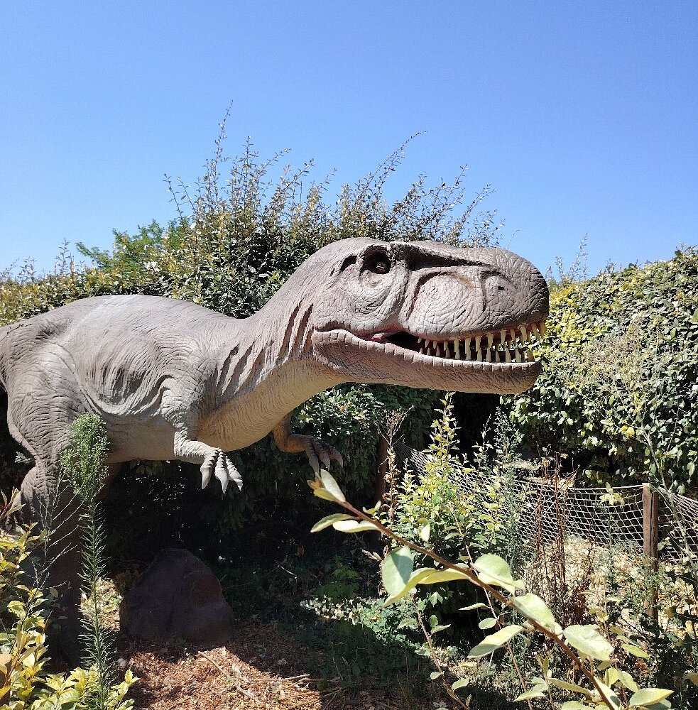 Parc Dinopedia provence