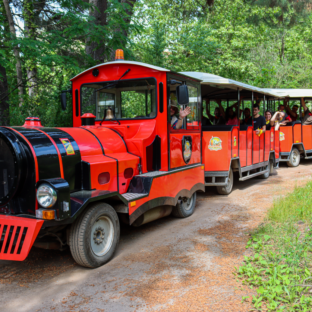 Parc Dinopedia Cevennes