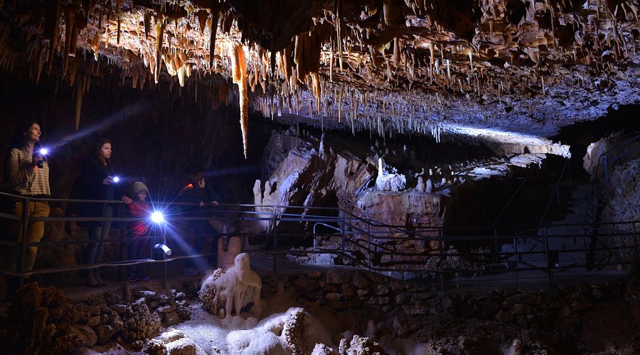 Grotte Aven Forestière