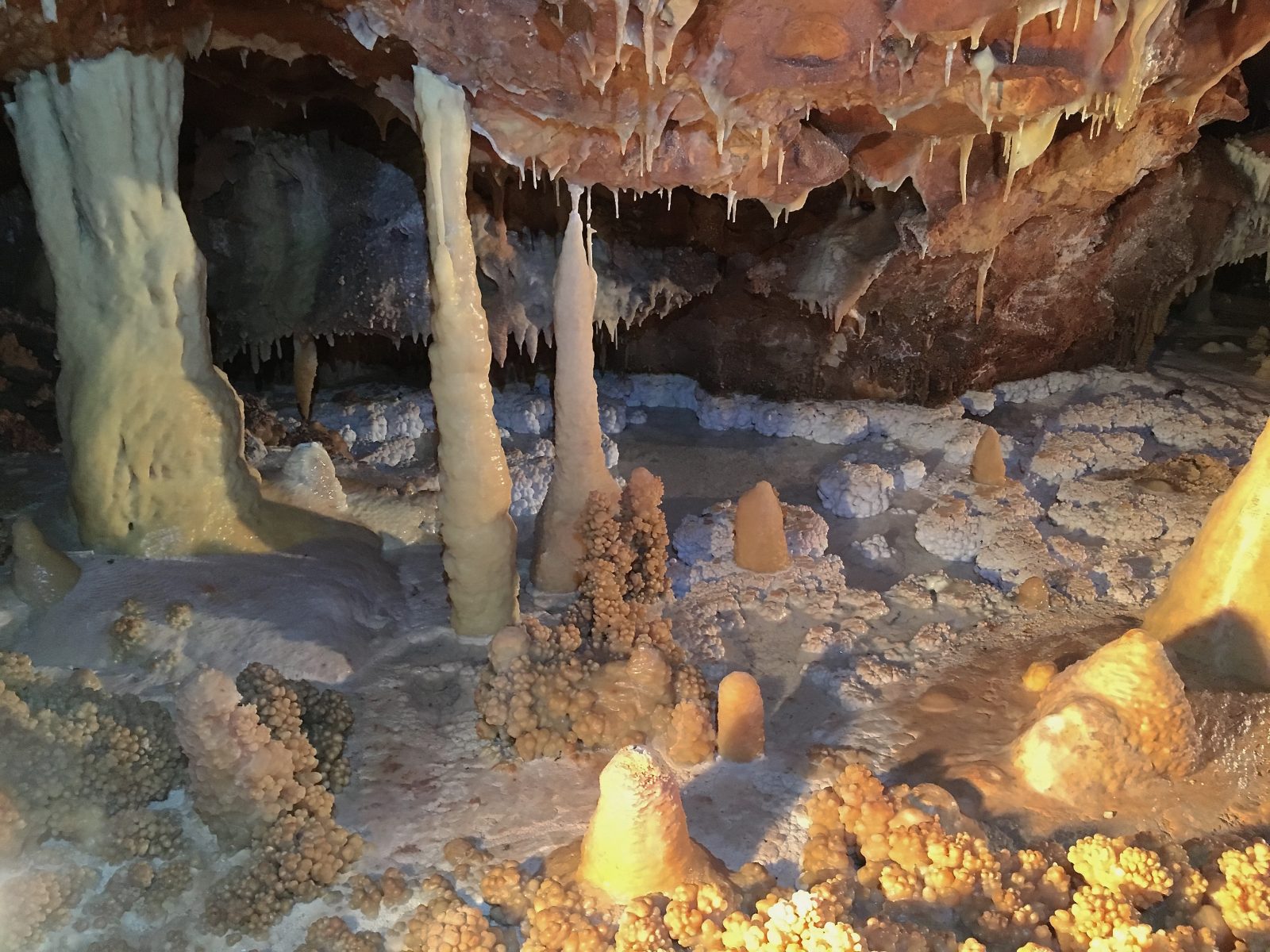 Grotte Aven Forestière