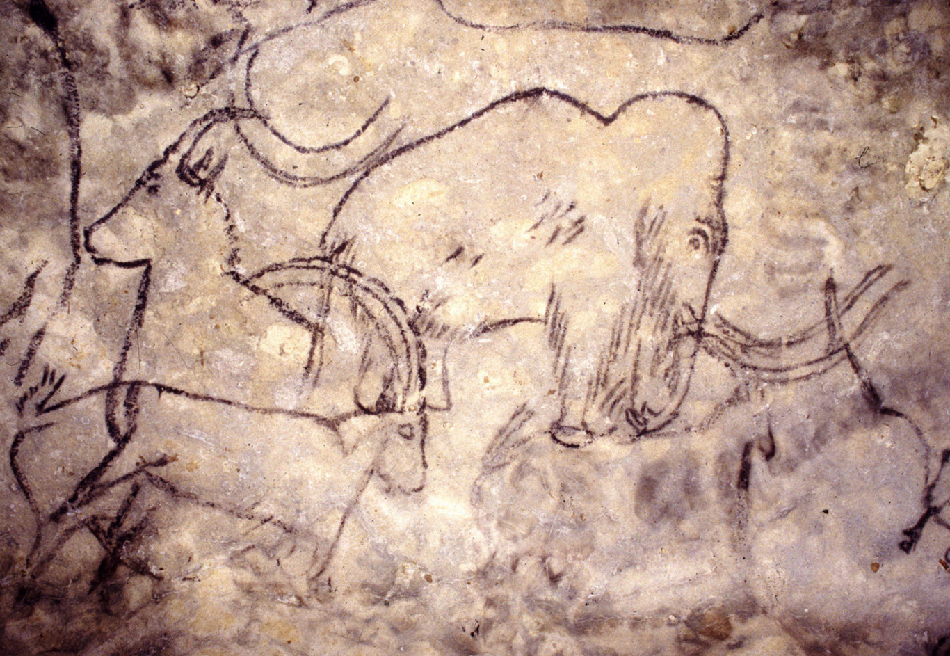 Grotte des Combarelles