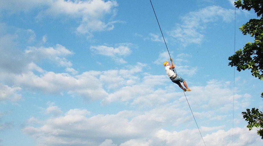 Le Royaume des Arbres - Le Castellet