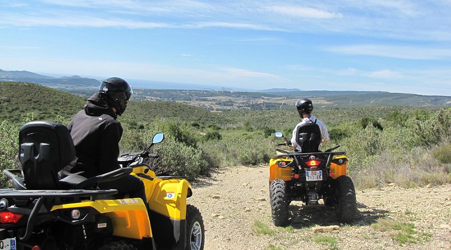 Le Royaume des Arbres - Le Castellet
