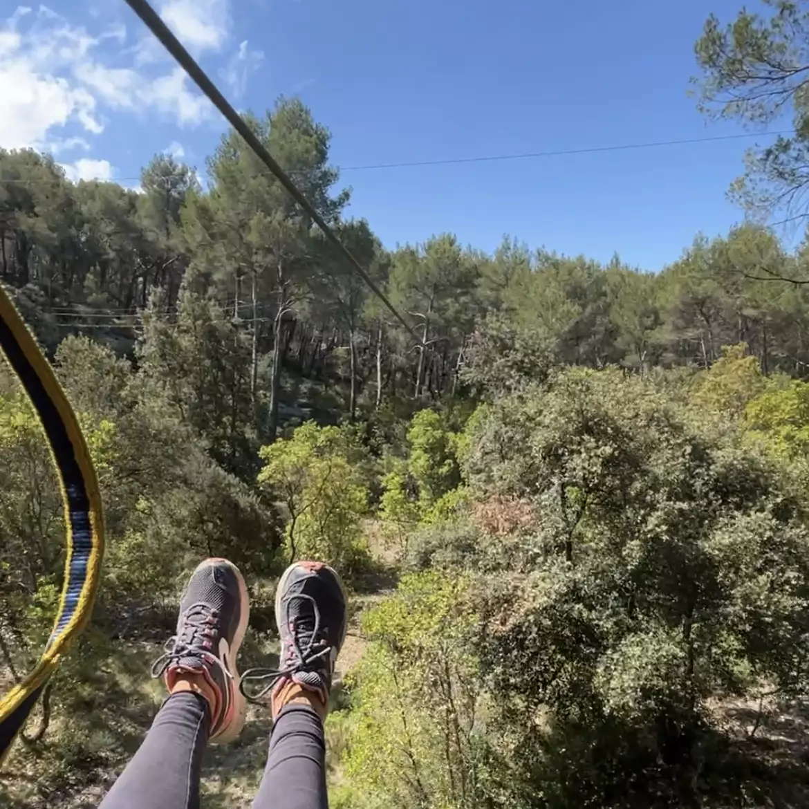 Le Royaume des Arbres - Le Castellet