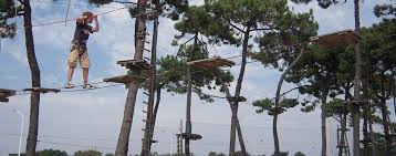 Le Royaume des Arbres - Charleval