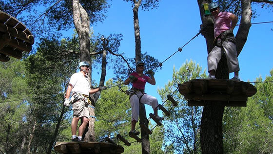 Le Royaume des Arbres - Charleval