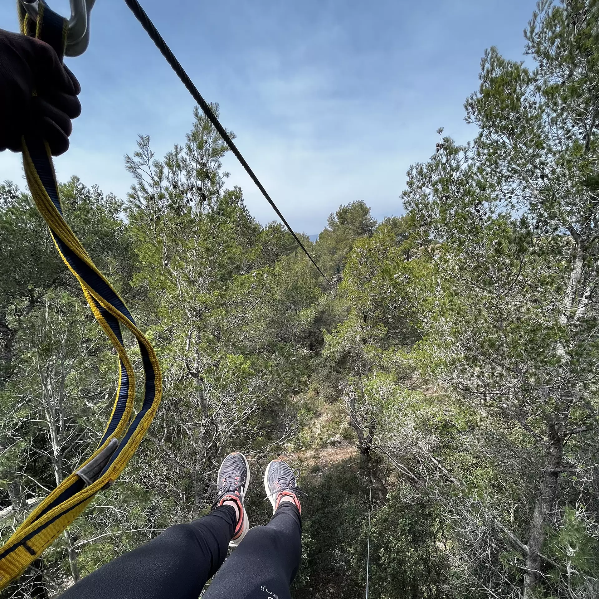Le Royaume des Arbres Auriol