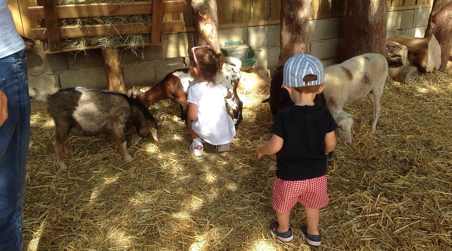 Ferme animalière d'Auriol