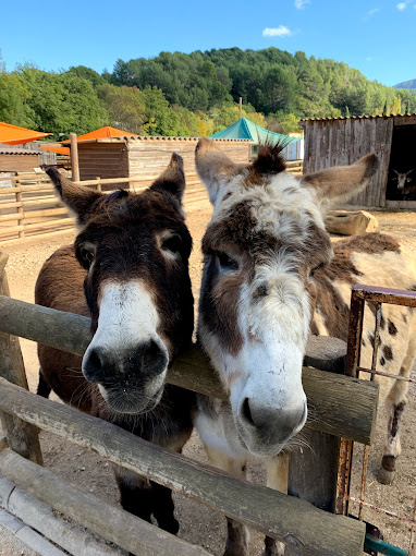 Ferme animalière d'Auriol