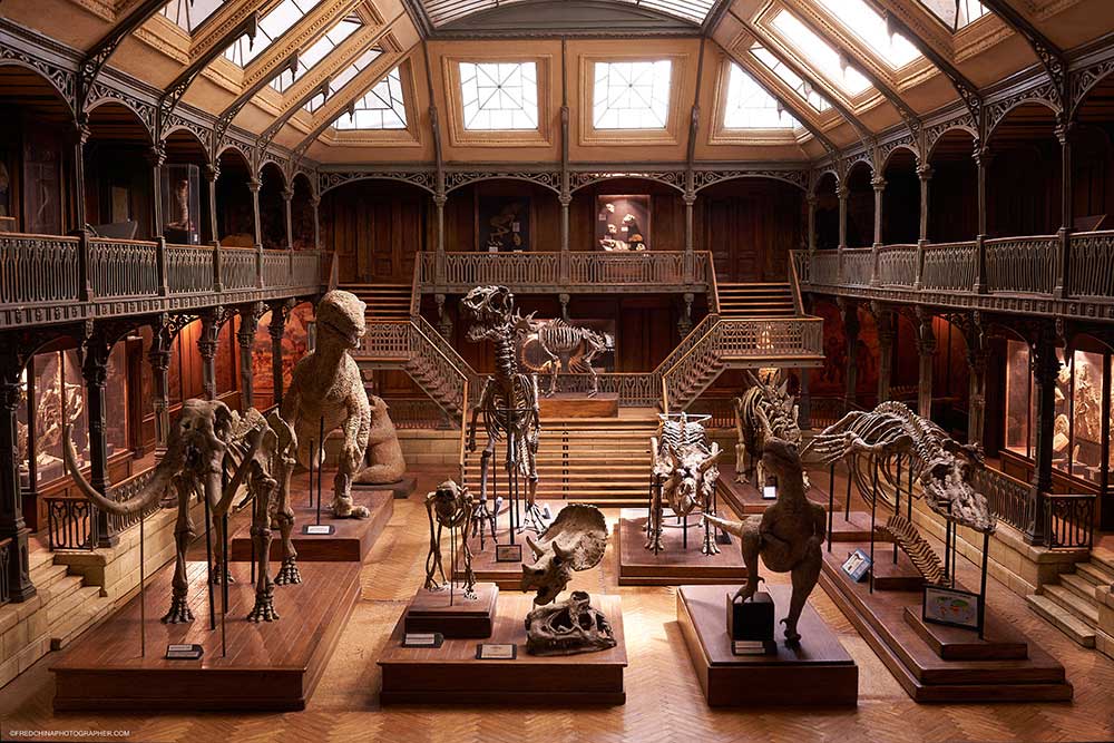 Musée miniature et cinéma