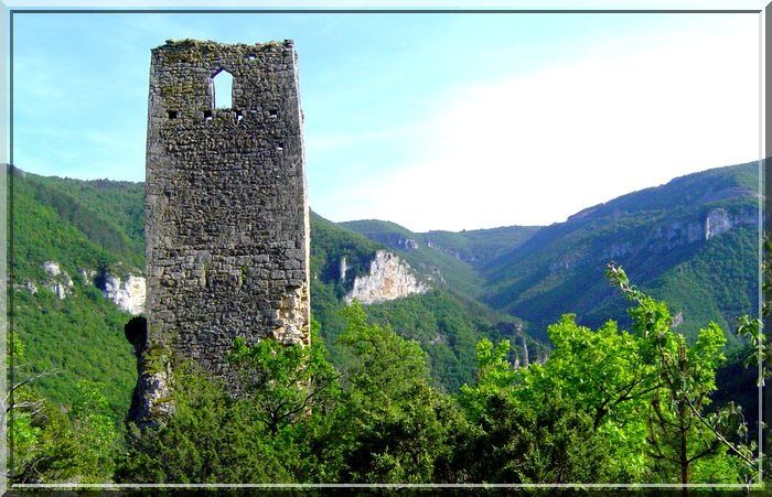 Château de Pepissou