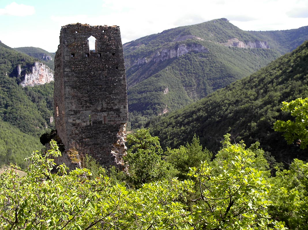Château de Pepissou