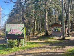 Forest Adventure