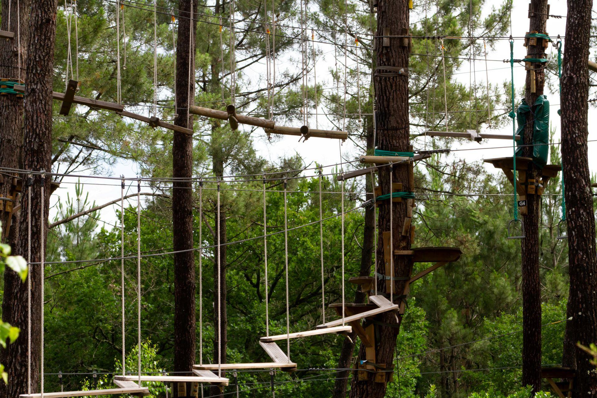 Forest Adventure