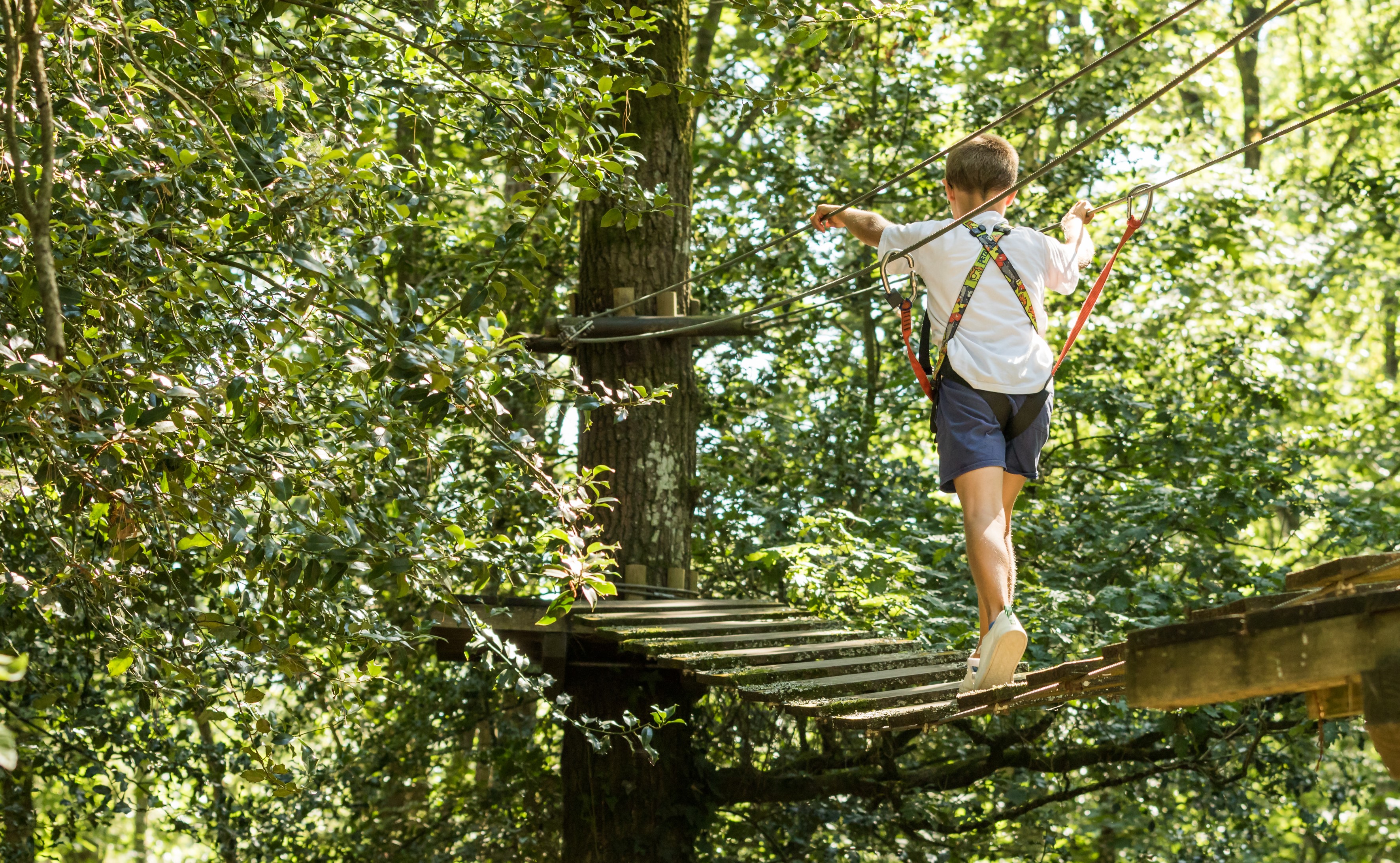 Le Bois (Parc d’activités nature)