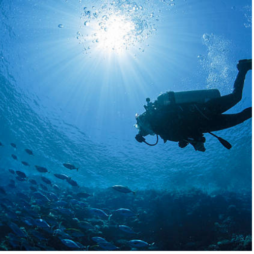 Centre École de Plongée & Snorkeling Le Poseidon