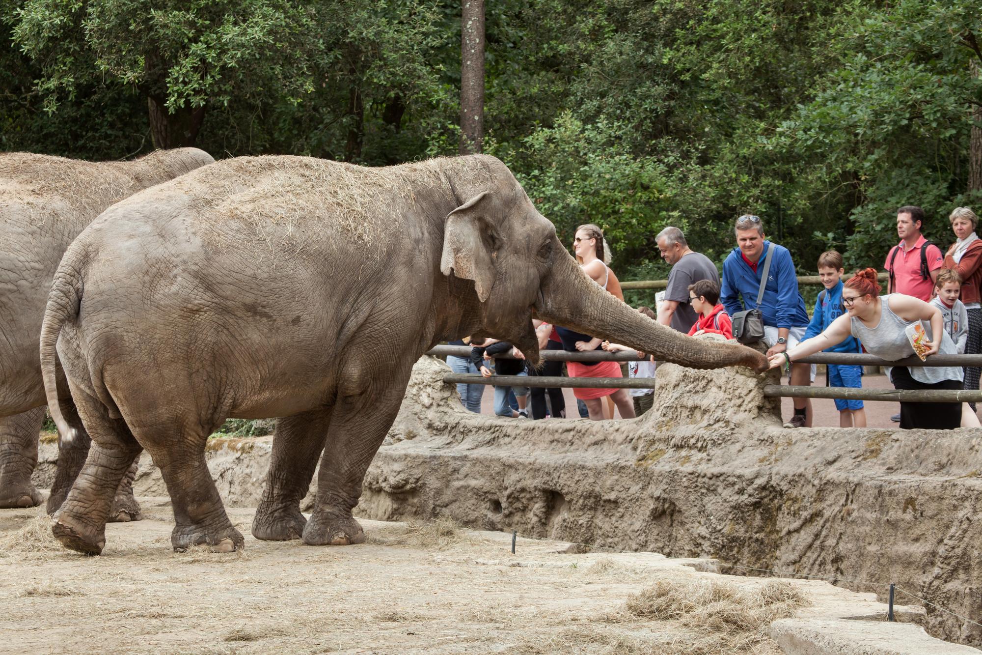 Zoo de La Palmyre
