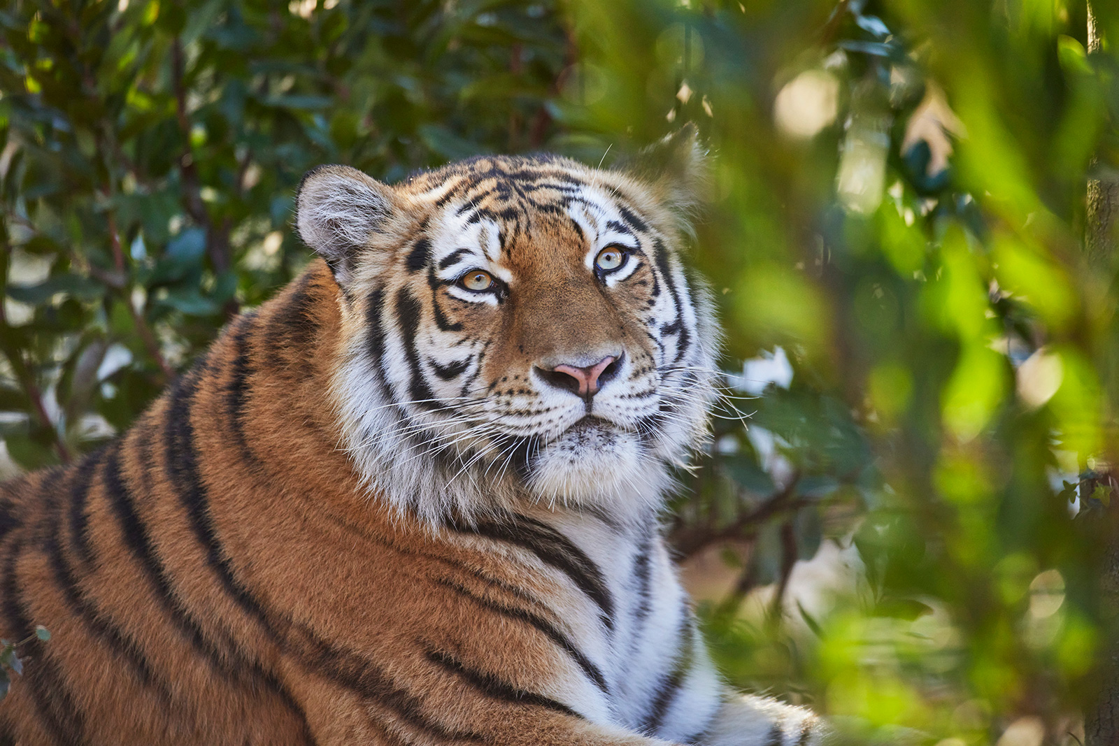 Zoo de La Palmyre